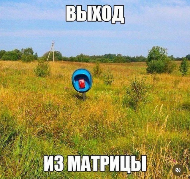 Веселое настроение в картинках (30.10.2025)