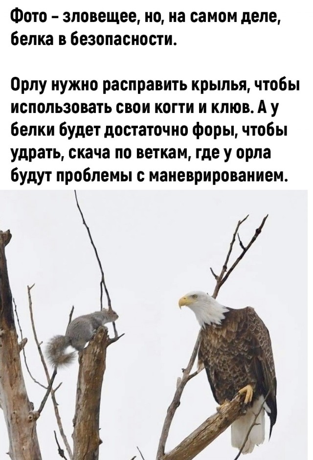 Так себе картинки 30.10.25