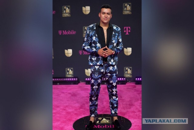 Колумбийский певец Хименес и члены его группы разбились на частном самолете