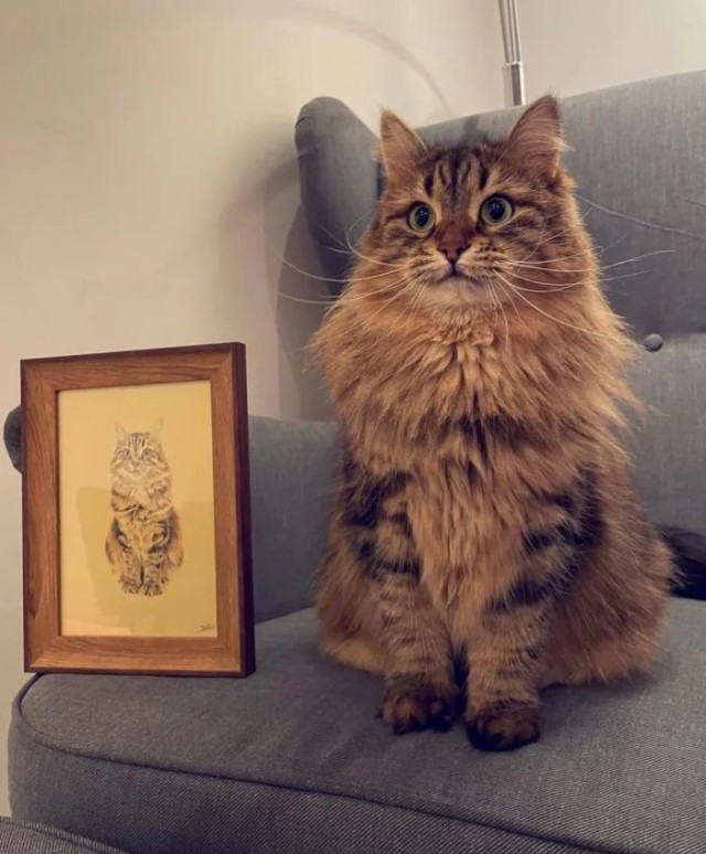 Котики тоже любят читать