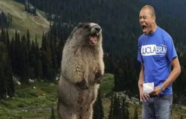 Фотожаба: Ща спою!