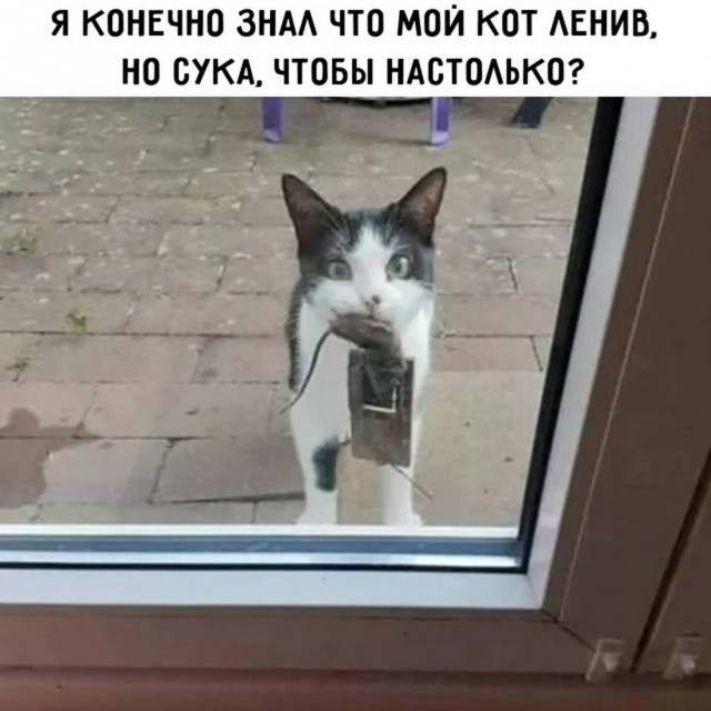 Картиночки, баянчики 19 марта