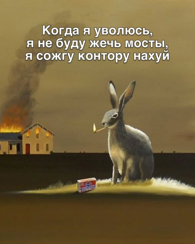 Картинки для деградации 195 (разной степени свежести)