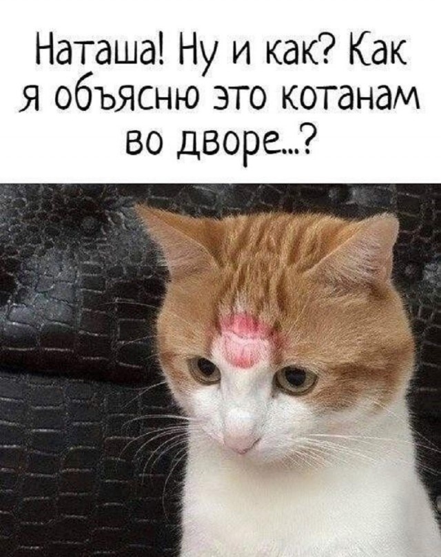 Так себе картинки 06.05.26