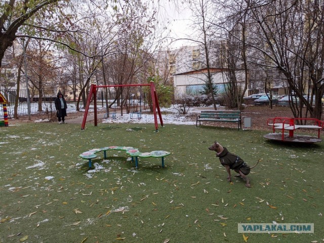 "Тебе сейчас в рожу плюну, сука"
