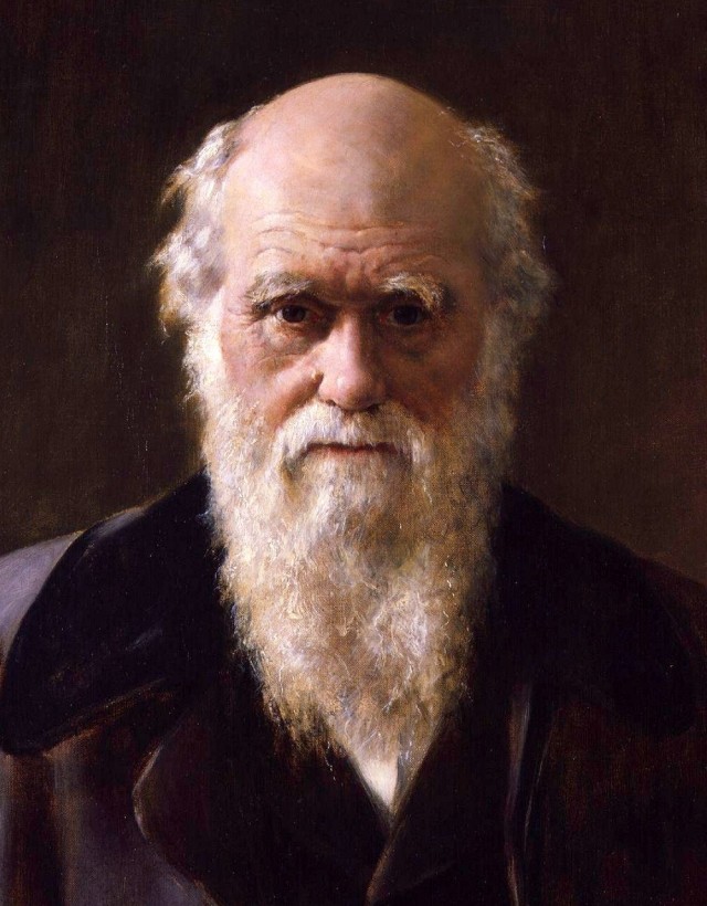 Аж заболело всё
