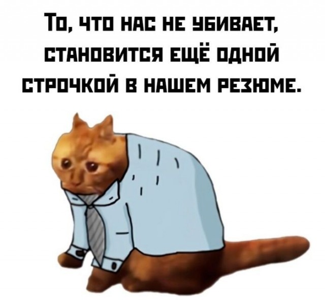 Веселые картинки в пятницу (10.07)