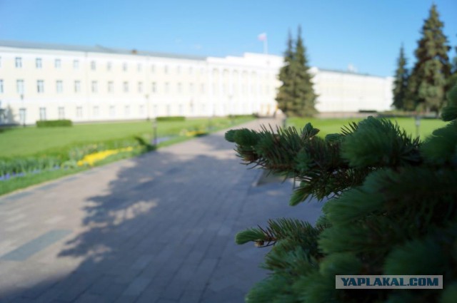 Красавец Нижний Новгород
