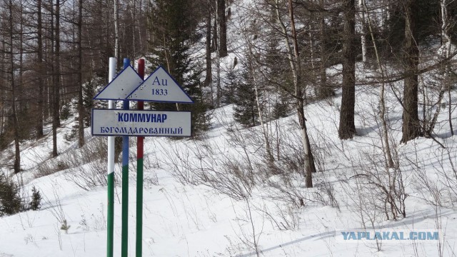 Суровая жизнь в поселке "Коммунар"