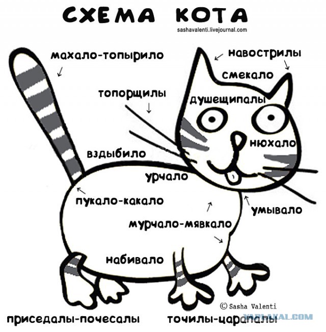 Котовторник 27.5.2014