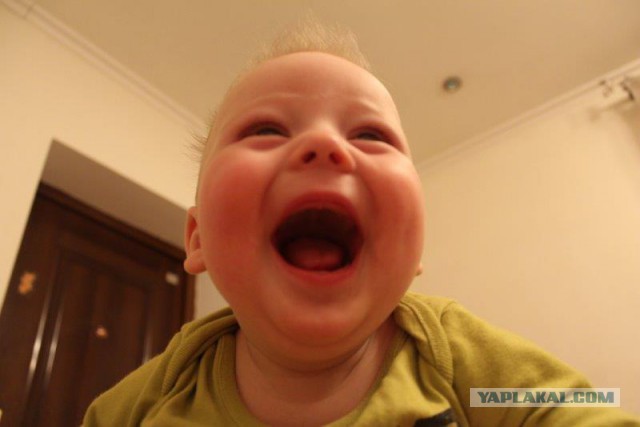 Зацени бицуху