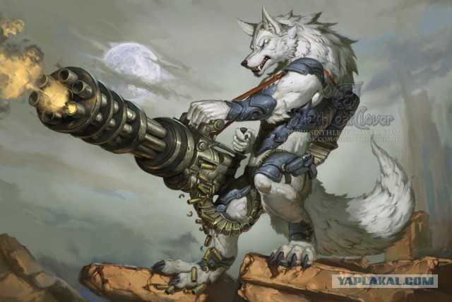 Плюсомет со шпалометом