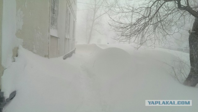 А тем временем в Хабаровске