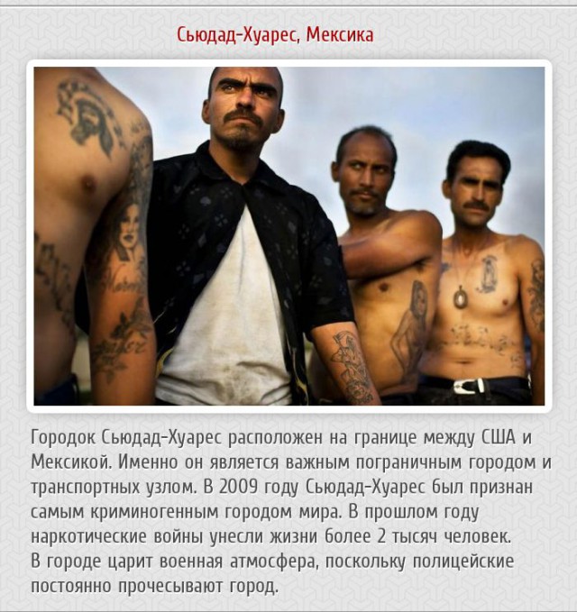 20 фактов обо всем