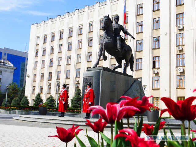 10 признаков того, что ты живешь в Краснодаре..