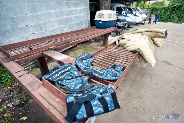 Центр кинологической службы Упр-ния на транспорте