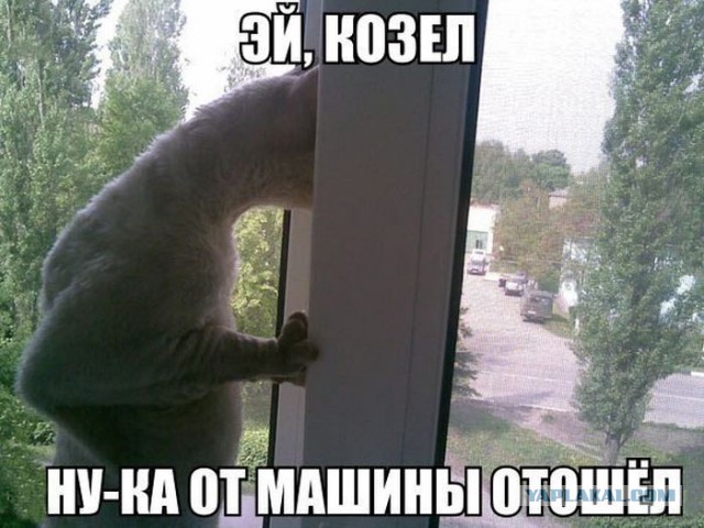 Веселости