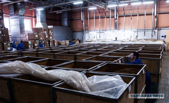 Как в Беларуси делают сигареты: репортаж