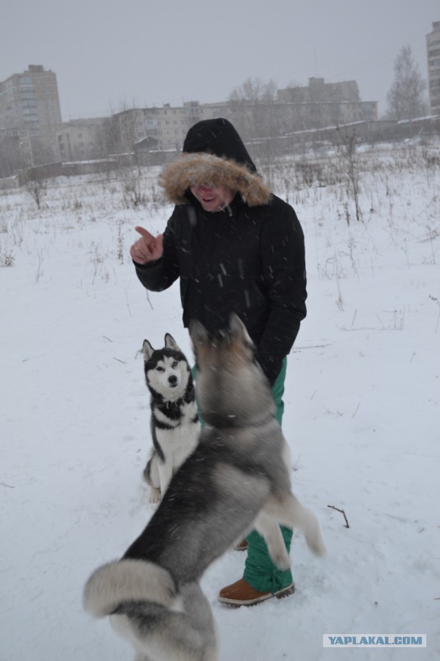 ЧудоХась