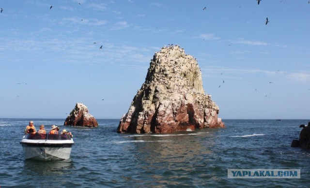 Отчет о путешествии в  Перу