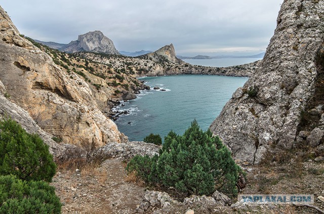 Аксенов усомнился в способности Крыма