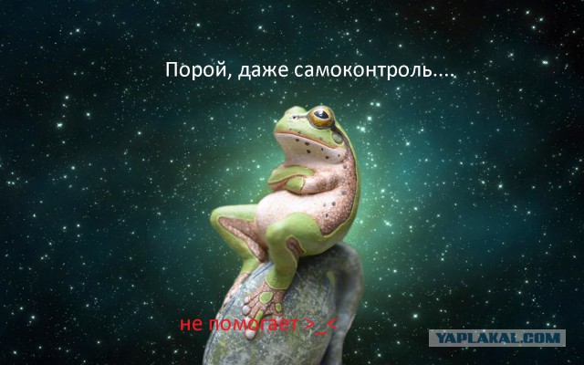 Любому терпению есть предел