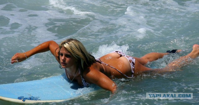 Фото сделанные в нужный момент