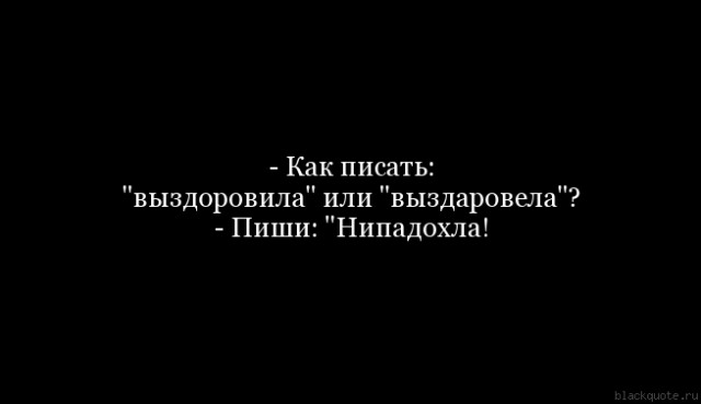 Как московские чиновники «установили» урну с помощью фотошопа