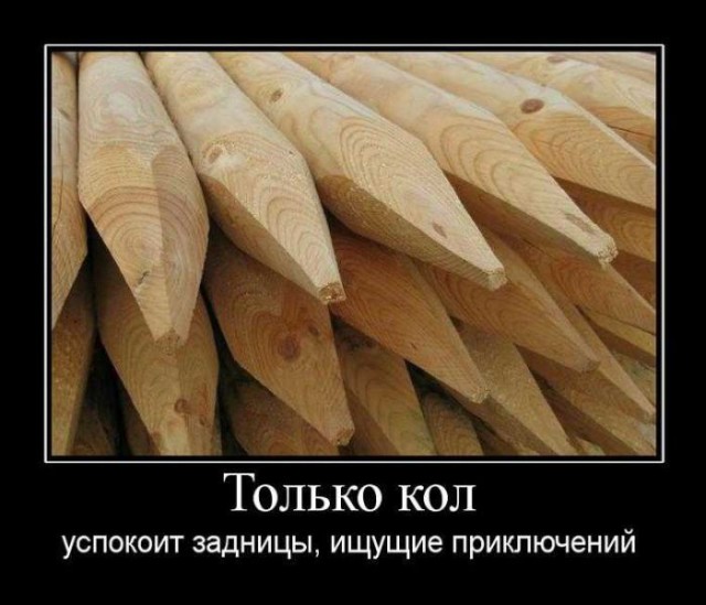 Награда нашла героя, мститель тротуара не дремлет