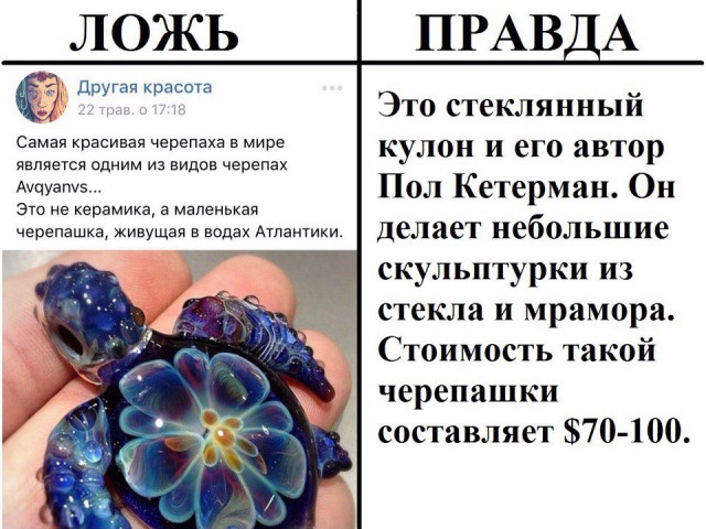 В интернете могут врать?