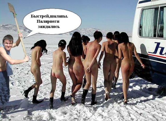 Фотожаба: Дай друг лопату мне