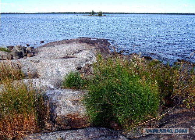Рыбалка на Белом море