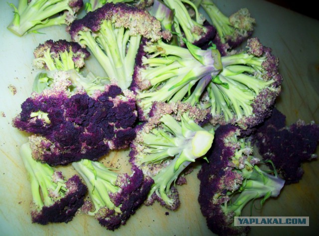 Аццкая кухня 2  (кулинарный адъ)