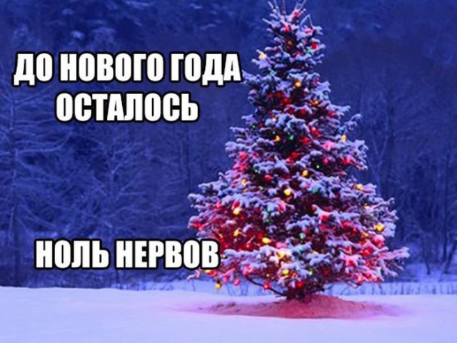 Приколы в стиле деградация