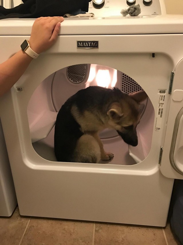 Пятничный полтинничек всем