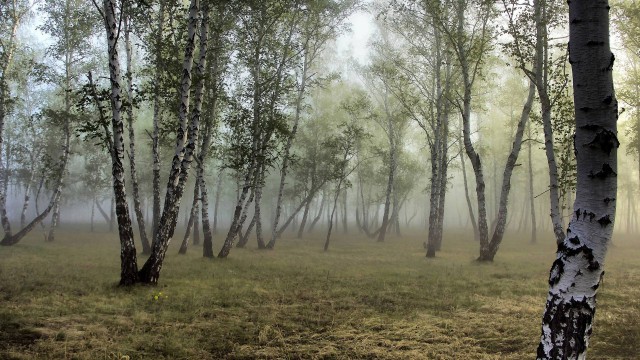 Красоты матушки России