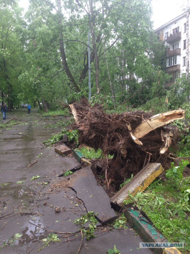 В Москве ураган!