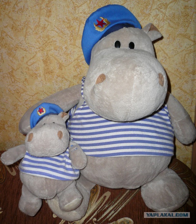 КВН (клуб весёлых и неадекватных)