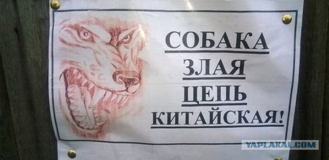 Подборка интересных и веселых картинок