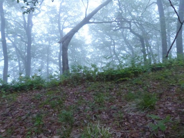 По дороге с облаками