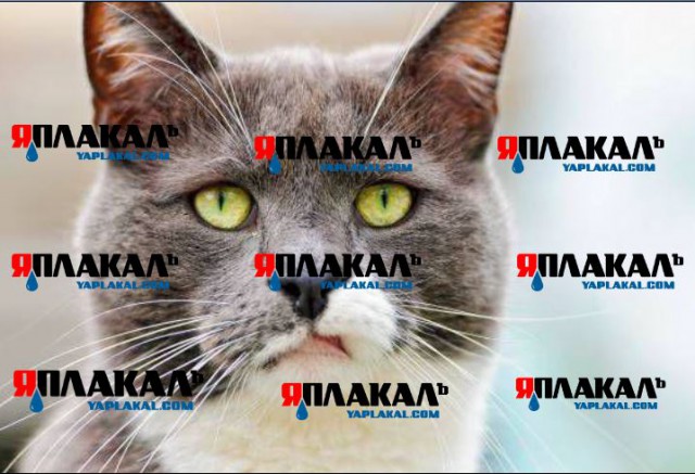 Картинки разные