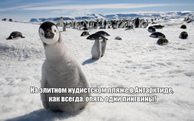 Что прячут голые женщины и почему