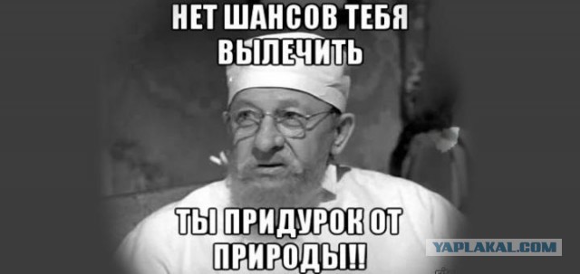 Хабаровчане обнаружили на веранде… неподвижную тигрицу! Она пришла просить о помощи