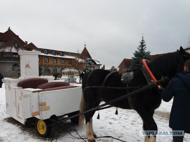 Из России в Беларусь на масленицу