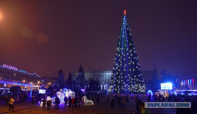 Квартира для Карлсона