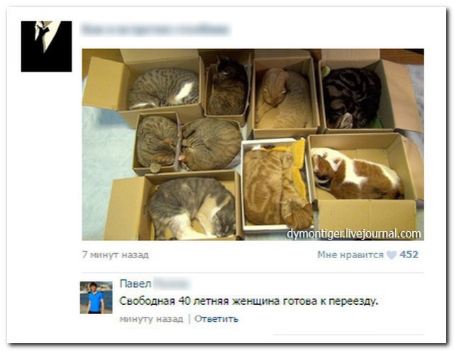 От работы оторвись и к картинкам присмотрись!