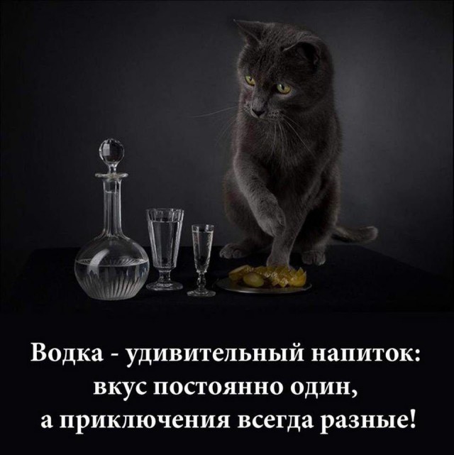 Алкогольный юмор 18+