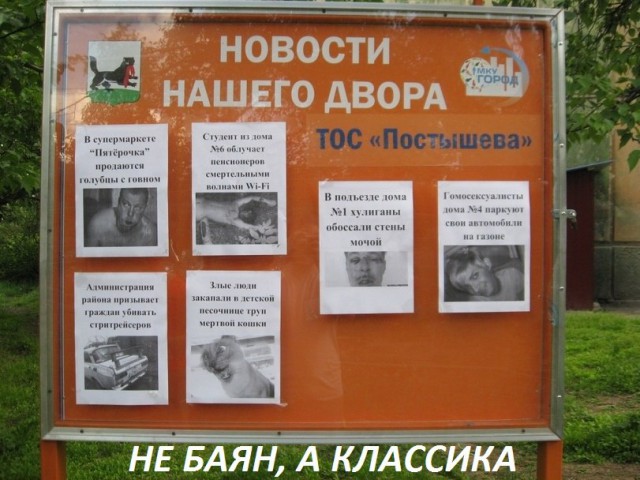 Подборка интересных и веселых картинок
