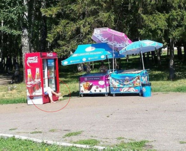 Лента прикольных картинок