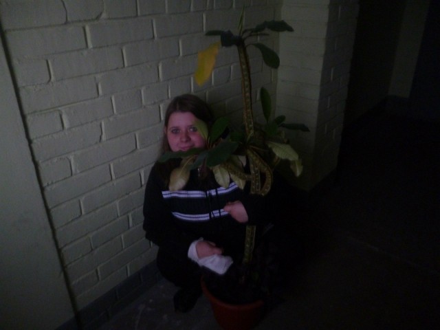 Это вам не инстаграм